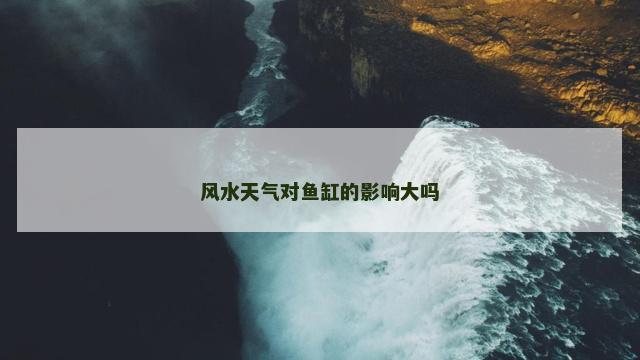 风水天气对鱼缸的影响大吗