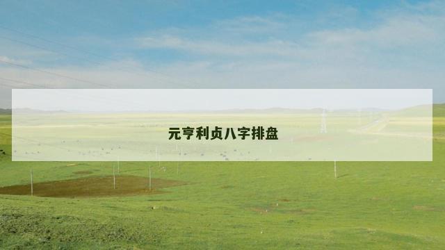 元亨利贞八字排盘