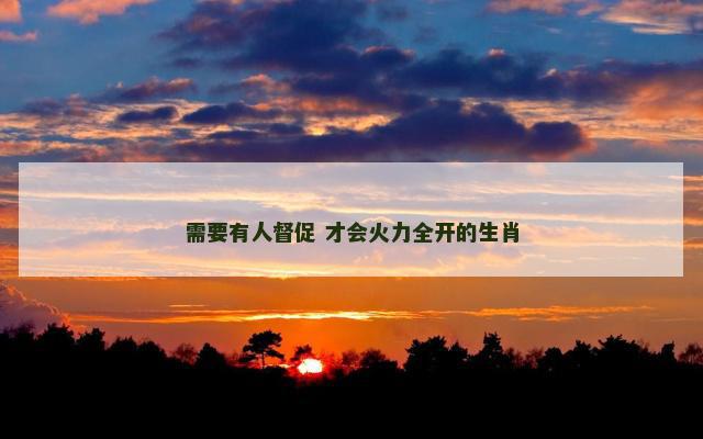 需要有人督促 才会火力全开的生肖