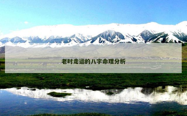老时走运的八字命理分析