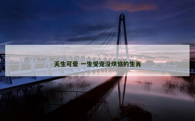 天生可爱 一生受宠没烦恼的生肖