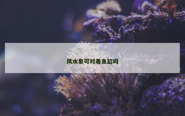 风水象可对着鱼缸吗