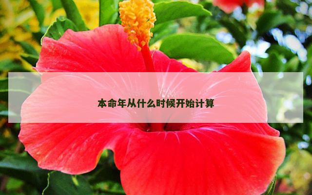 本命年从什么时候开始计算