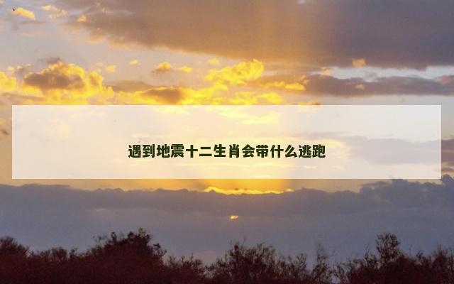 遇到地震十二生肖会带什么逃跑