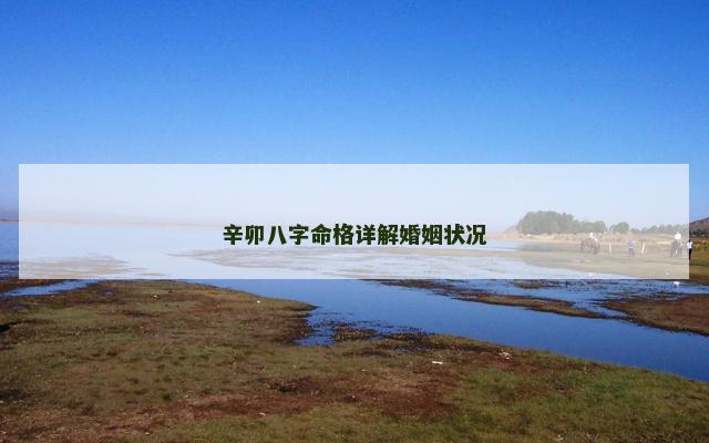 辛卯八字命格详解婚姻状况