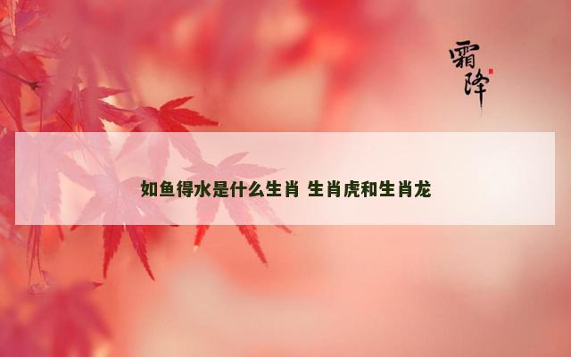 如鱼得水是什么生肖 生肖虎和生肖龙