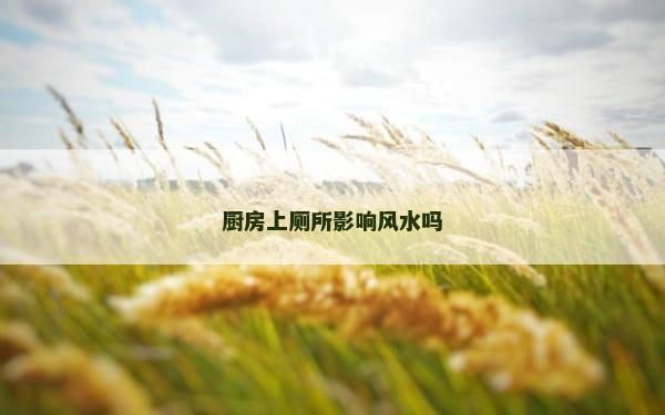 厨房上厕所影响风水吗