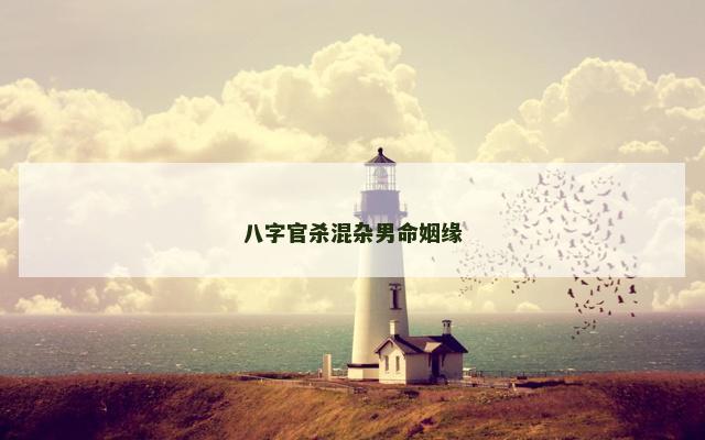 八字官杀混杂男命姻缘