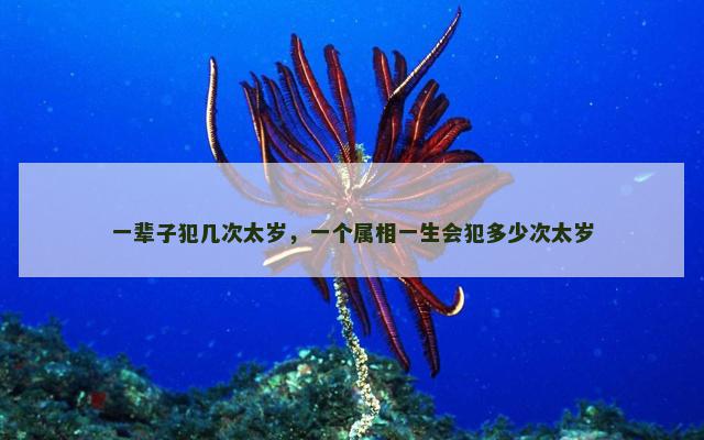 一辈子犯几次太岁，一个属相一生会犯多少次太岁