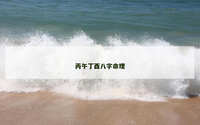 丙午丁酉八字命理
