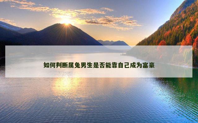 如何判断属兔男生是否能靠自己成为富豪