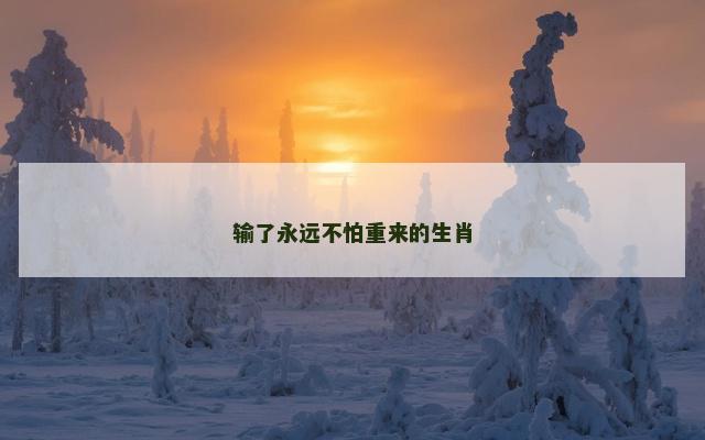 输了永远不怕重来的生肖