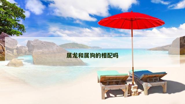 属龙和属狗的相配吗