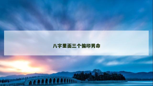 八字里面三个偏印男命