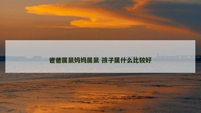 爸爸属鼠妈妈属鼠 孩子属什么比较好