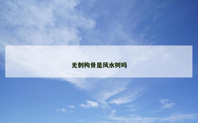 无刺枸骨是风水树吗