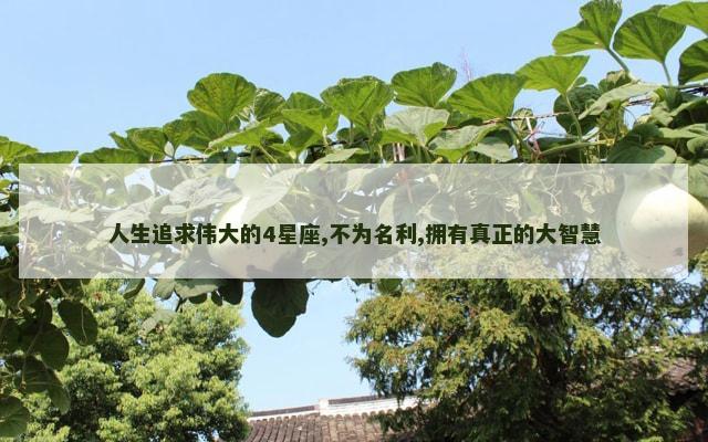 人生追求伟大的4星座,不为名利,拥有真正的大智慧