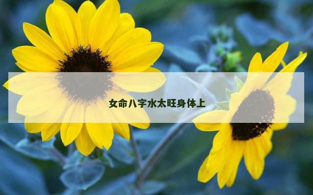 女命八字水太旺身体上