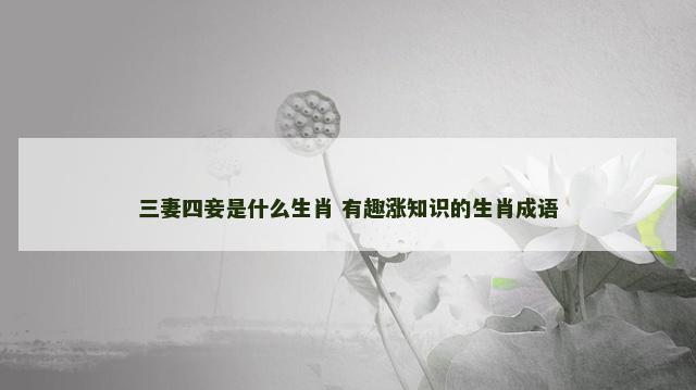 三妻四妾是什么生肖 有趣涨知识的生肖成语