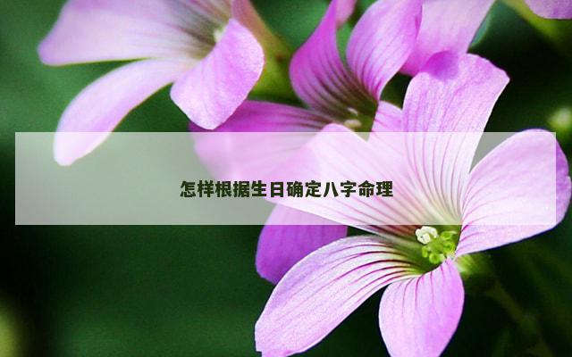 怎样根据生日确定八字命理