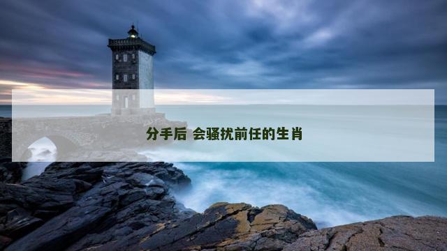 分手后 会骚扰前任的生肖