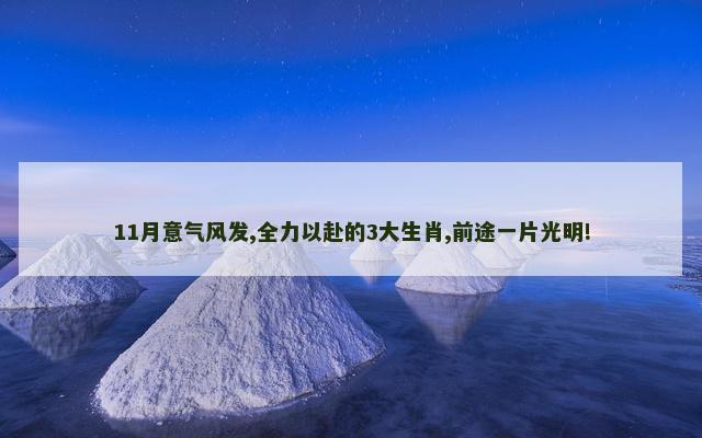 11月意气风发,全力以赴的3大生肖,前途一片光明!