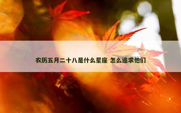 农历五月二十八是什么星座 怎么追求他们