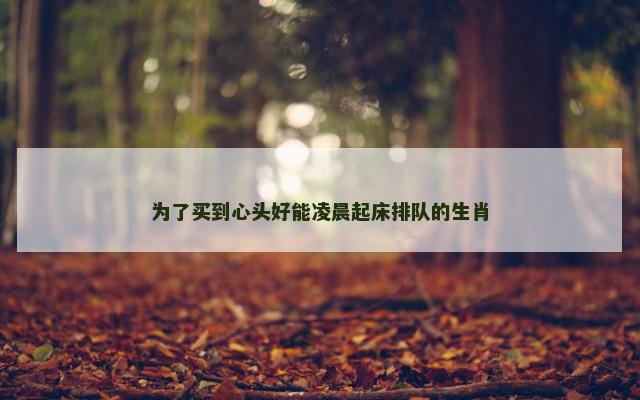 为了买到心头好能凌晨起床排队的生肖