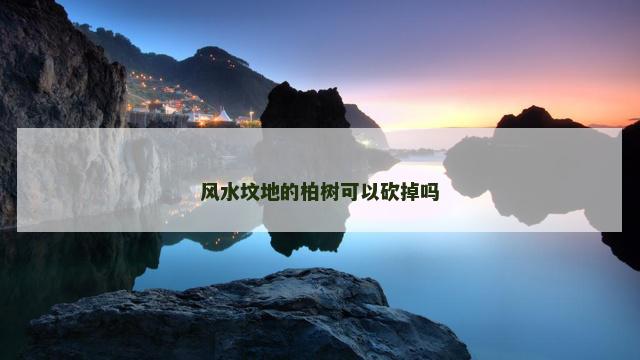 风水坟地的柏树可以砍掉吗