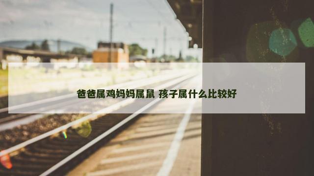 爸爸属鸡妈妈属鼠 孩子属什么比较好