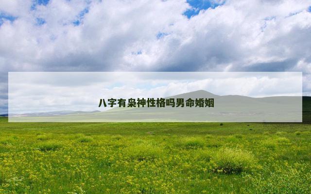 八字有枭神性格吗男命婚姻