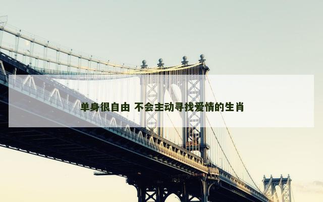 单身很自由 不会主动寻找爱情的生肖