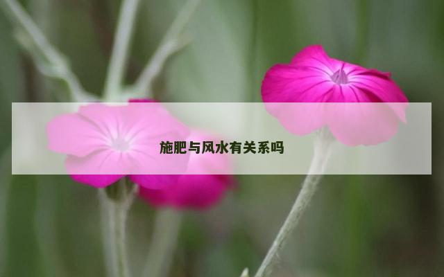施肥与风水有关系吗