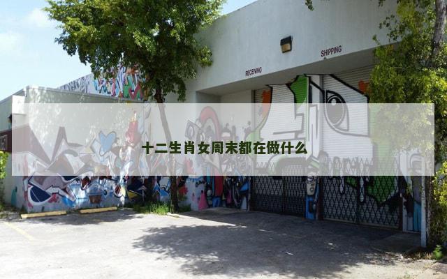 十二生肖女周末都在做什么