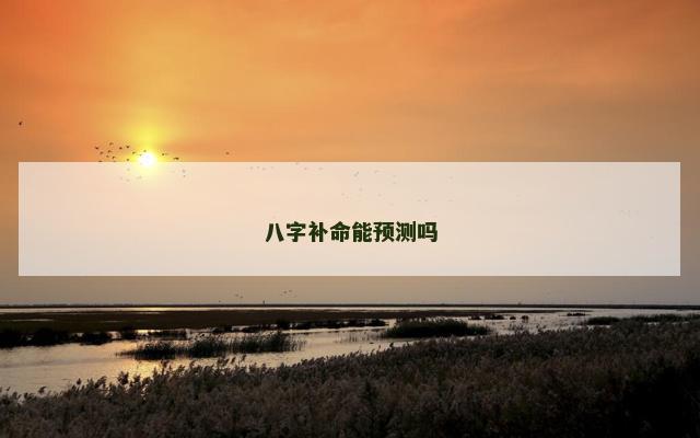 八字补命能预测吗