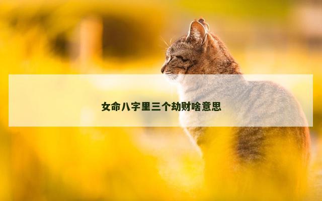 女命八字里三个劫财啥意思