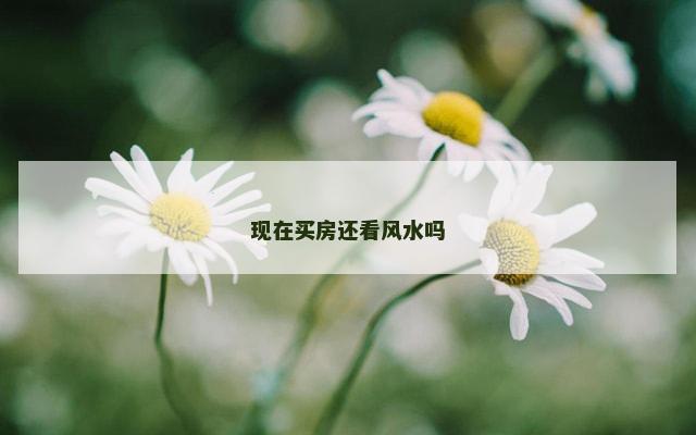 现在买房还看风水吗