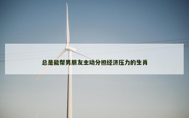 总是能帮男朋友主动分担经济压力的生肖