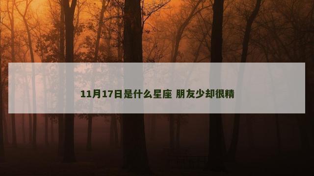 11月17日是什么星座 朋友少却很精