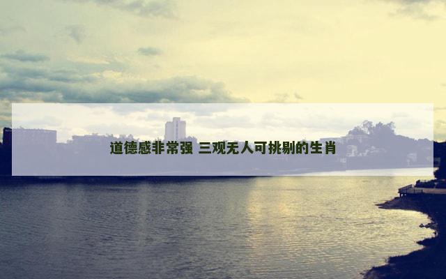 道德感非常强 三观无人可挑剔的生肖