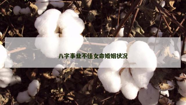 八字事业不佳女命婚姻状况