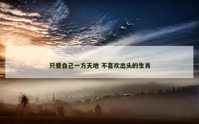 只爱自己一方天地 不喜欢出头的生肖