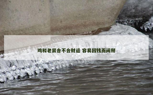 鸡和老鼠合不合财运 容易因钱而闹掰