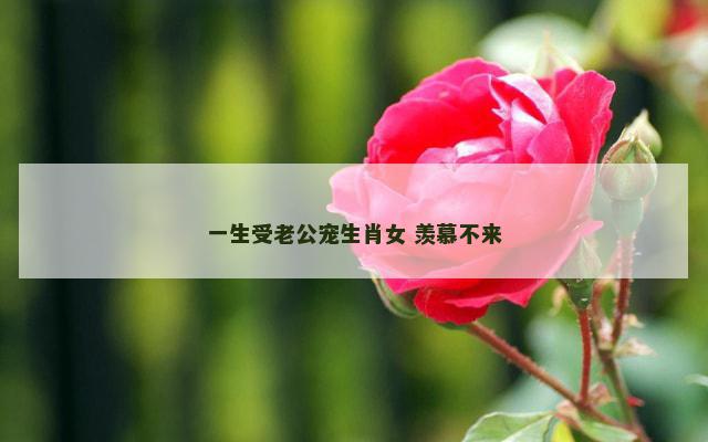 一生受老公宠生肖女 羡慕不来