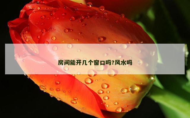 房间能开几个窗口吗?风水吗