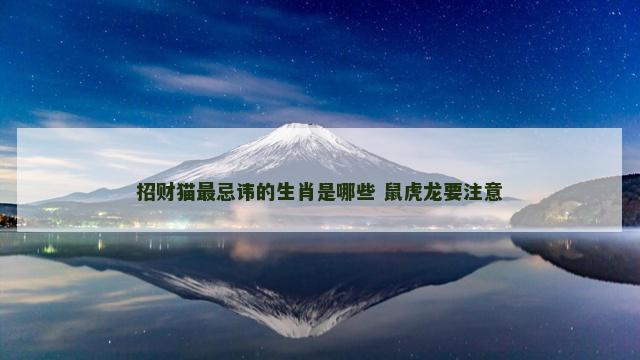 招财猫最忌讳的生肖是哪些 鼠虎龙要注意