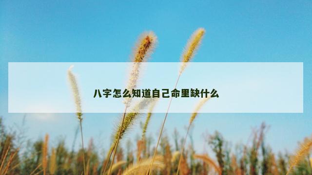 八字怎么知道自己命里缺什么