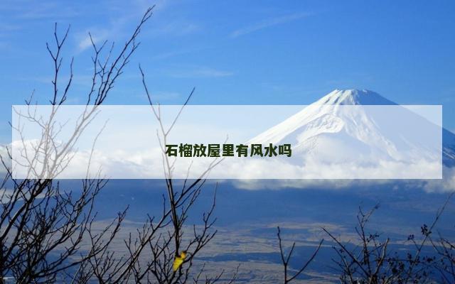 石榴放屋里有风水吗