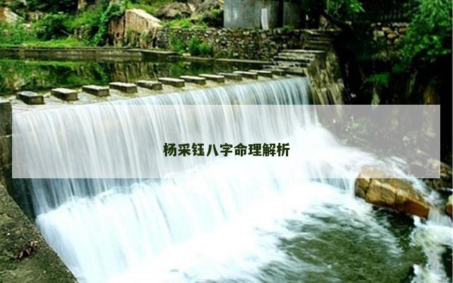 杨采钰八字命理解析