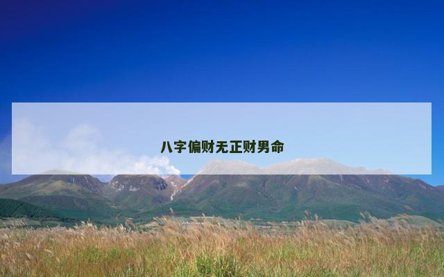 八字偏财无正财男命